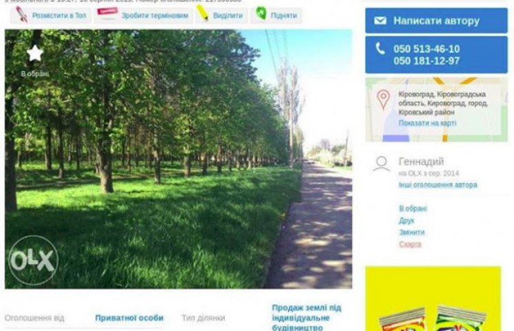 Кіровоградський бізнесмен продає алею пі…