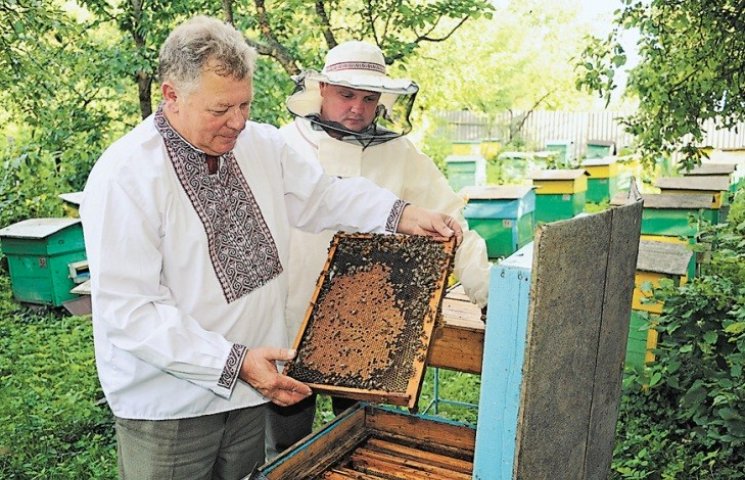 Миколаївські бджолярі вийшли на третє мі…