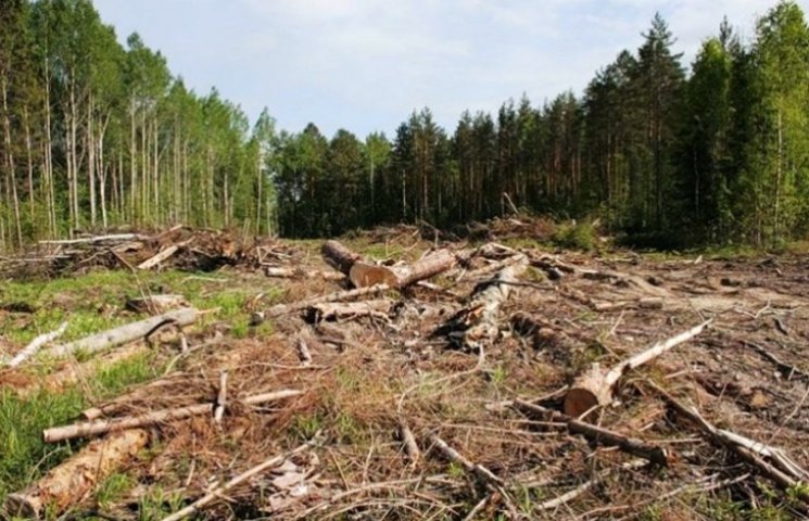 Министр экологии не увидел на Закарпатье…
