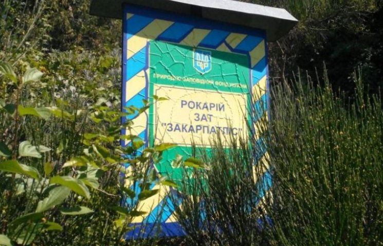 Ужгородський парк-рокарій став приватним…