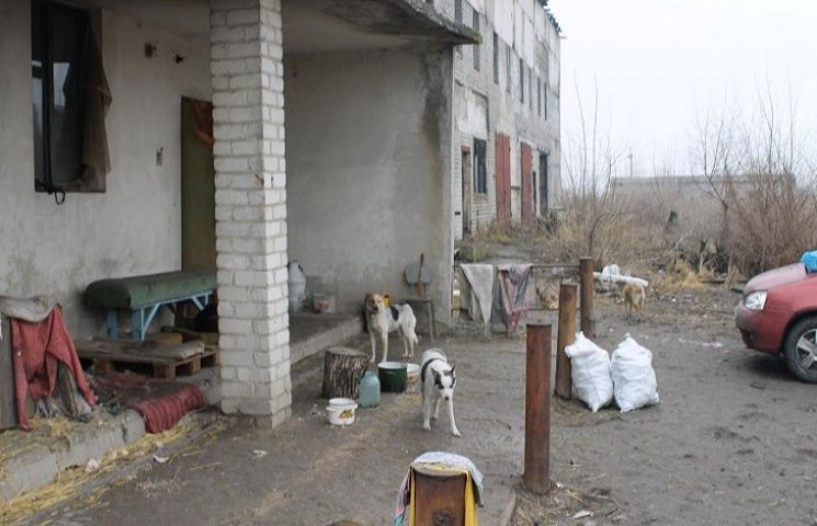 У Павлограді майно притулку для собак зд…