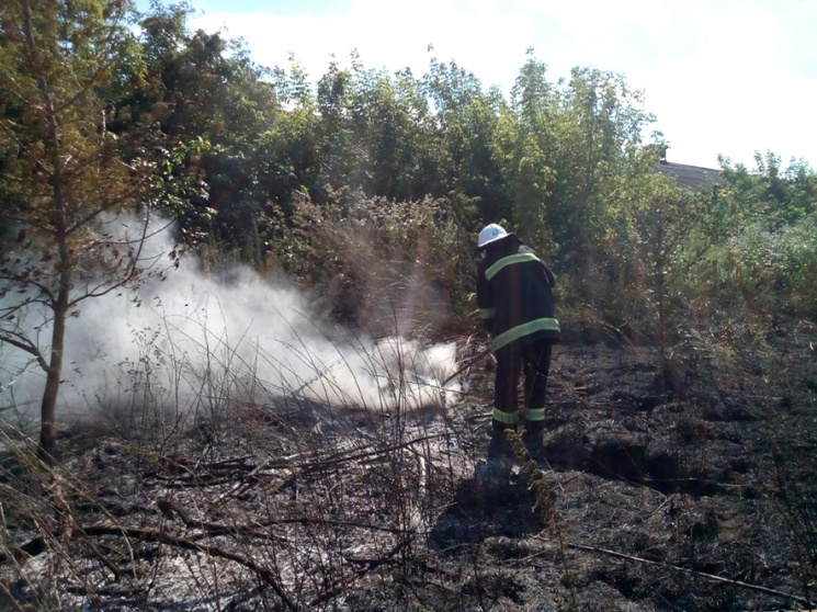 На Полтавщині тривають пожежі сухостою…