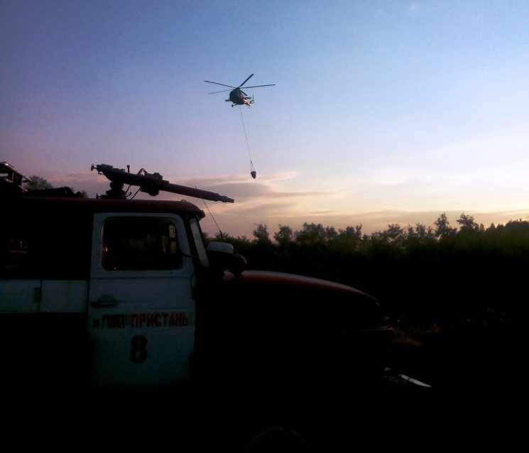 У Херсонській області сталося дві лісові пожежі