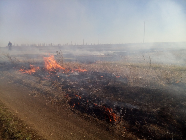 У спеку на Кропивниччині горить бур&#039…
