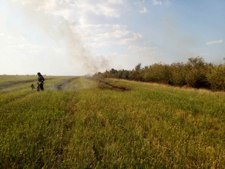 На Одещині палаючий ліс рятували з допом…