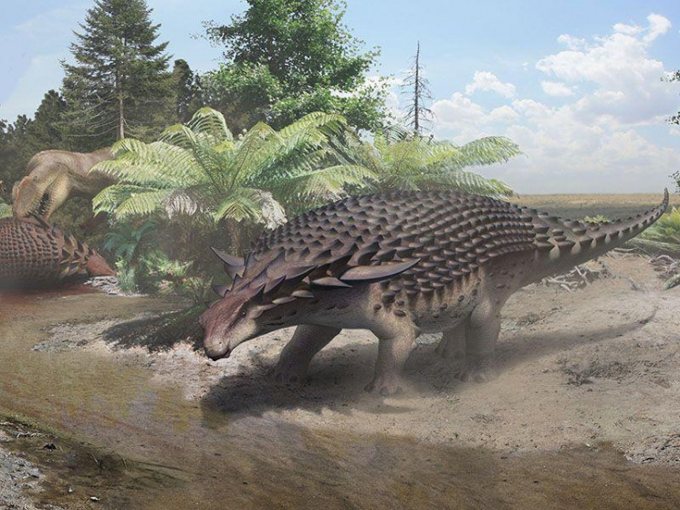 Вчені знайшли рештки "динозавра-танка",…