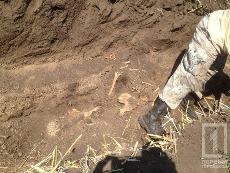 На Дніпропетровщині розкопали останки та…