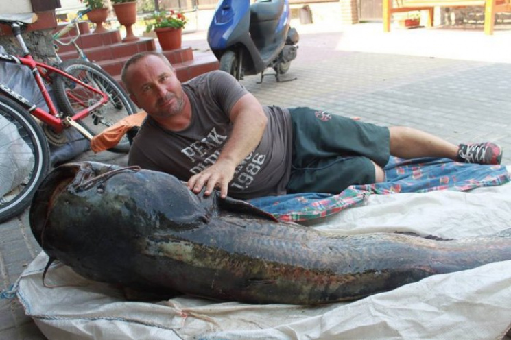 Житомирський рибалка упіймав велетенсько…