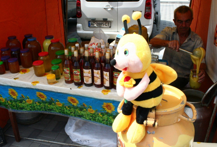 "Не стане бджіл - загине людство": Запор…