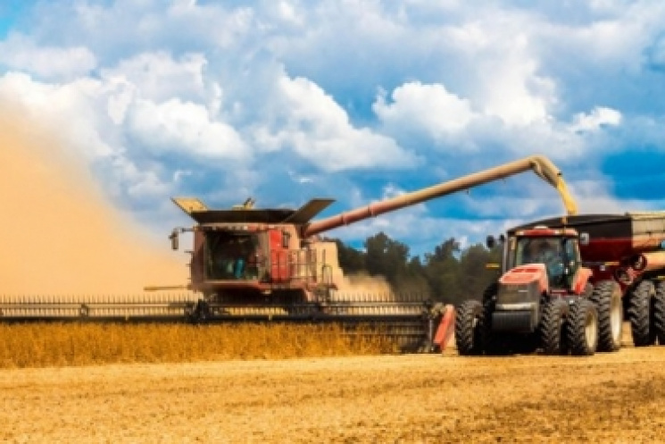 Найвища урожайність ранніх зернових в Ук…