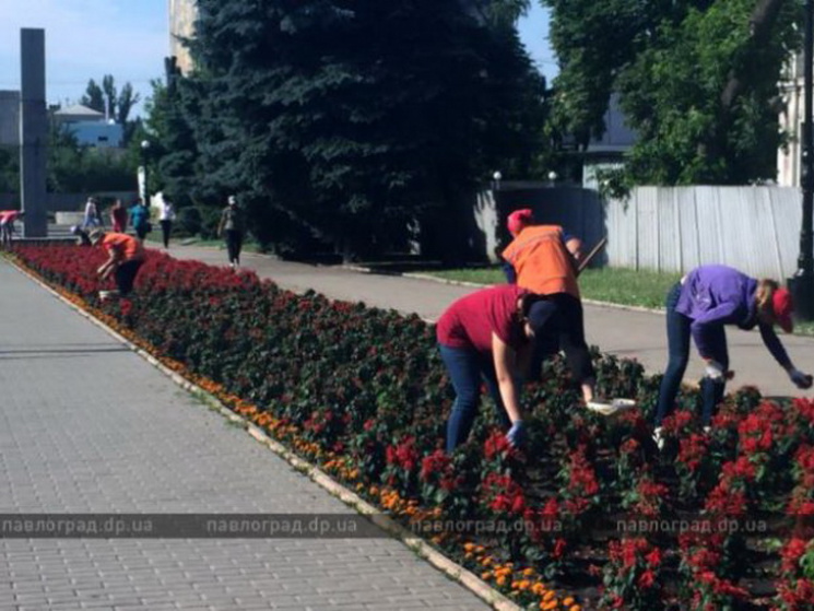 В Павлограде наградят школьников, которы…