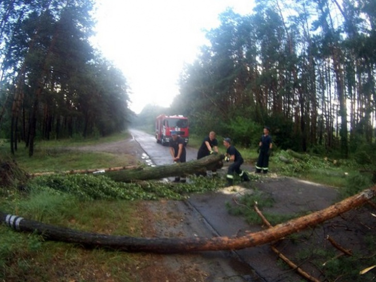 На Черкащині негода повалила дерева…