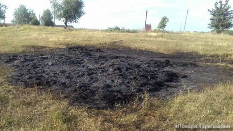 На Харківщині в багатті згоріла дитина