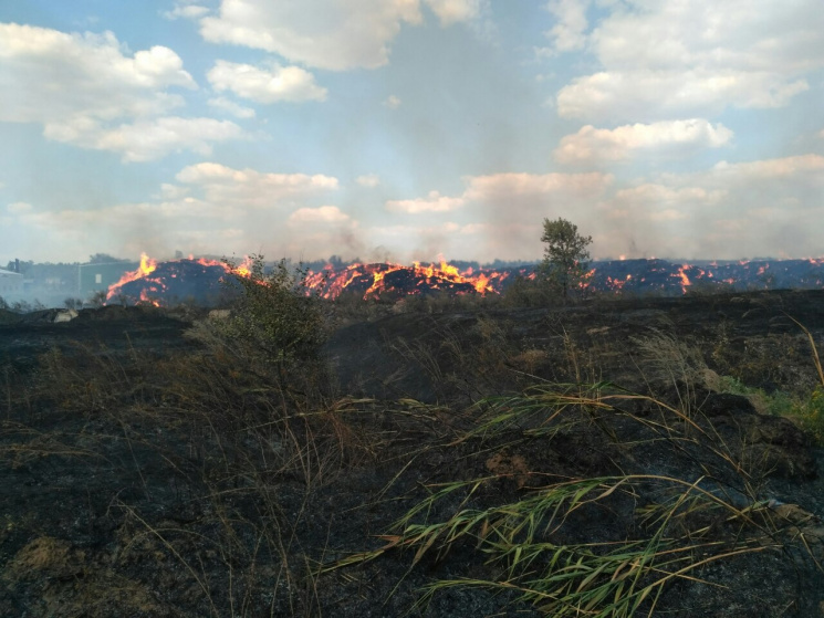 Масштабный лесной пожар на Харьковщине т…
