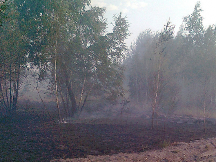На Полтавщині вигоріло 4,6 га сухостою…