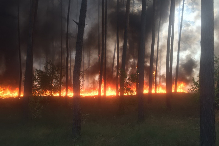 Масштабну лісову пожежу на Харківщині лі…