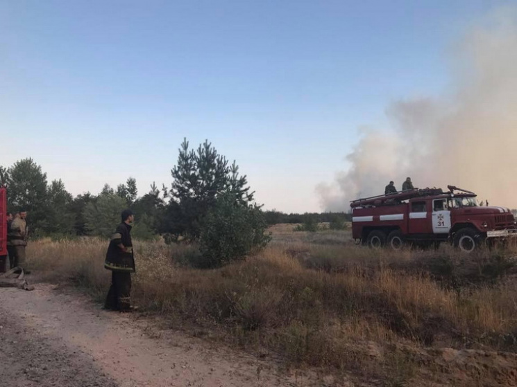 Пожар в лесу возле столицы Западного Дон…