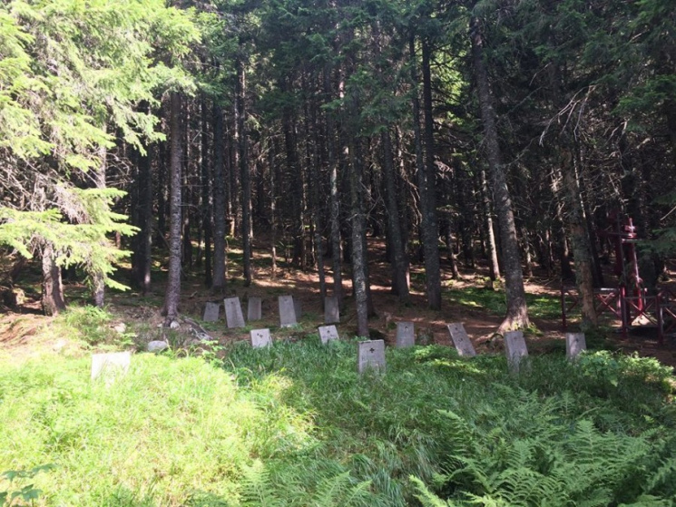 В Карпатах нашли австрийское кладбище вр…