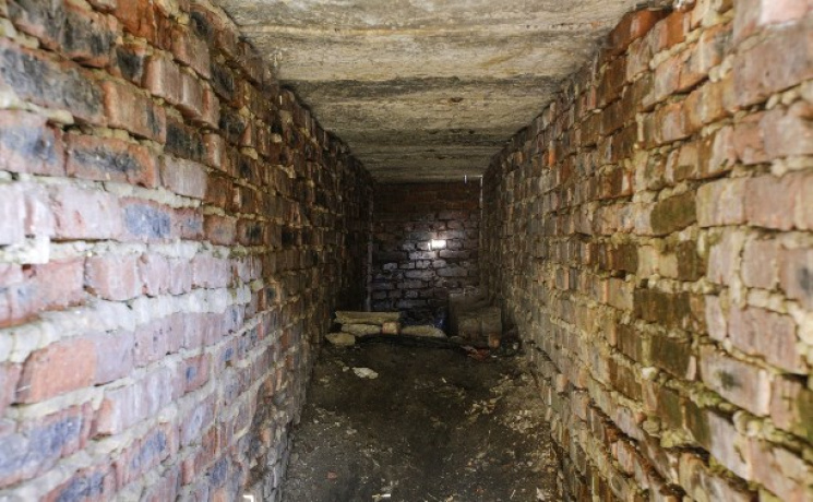 На Росії діти в підвалі катували 5-річну…