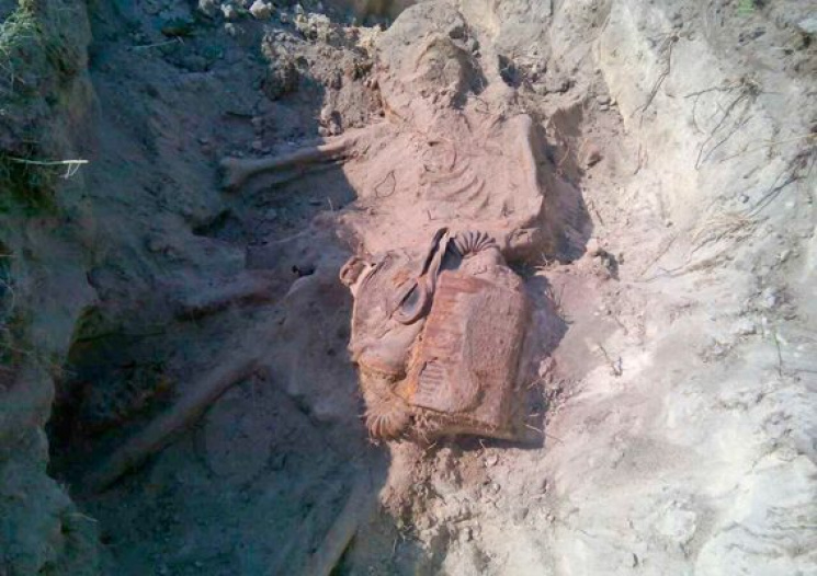 На Житомирщині знайшли скелет солдата…