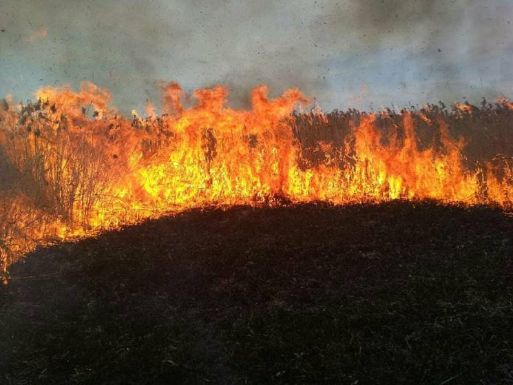 На Вінниччині підпалили траву за селом…