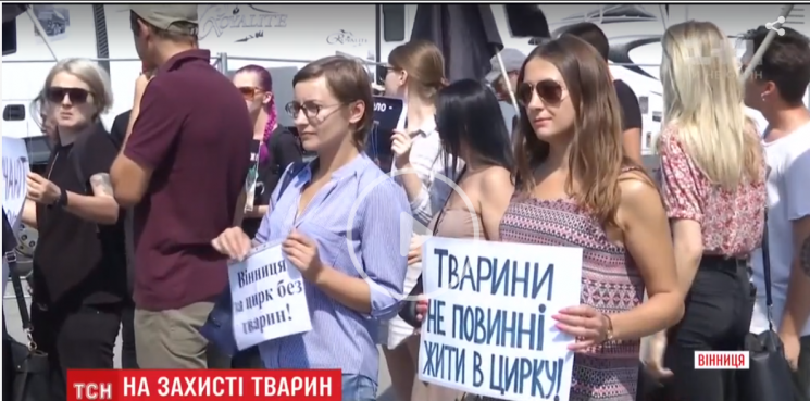 Вінничани влаштували протест проти експл…