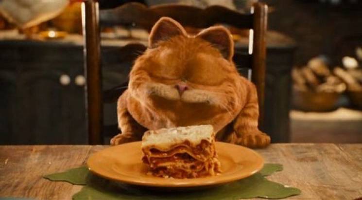 Історія на тарілці:  Улюблена страва кот…