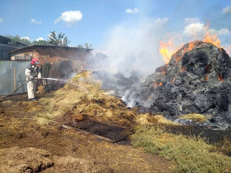 На Полтавщині сталася масштабна пожежа п…