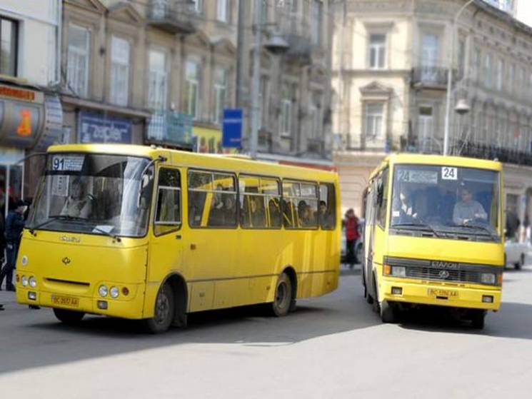 Як найчастіше "грішать" водії львівських…