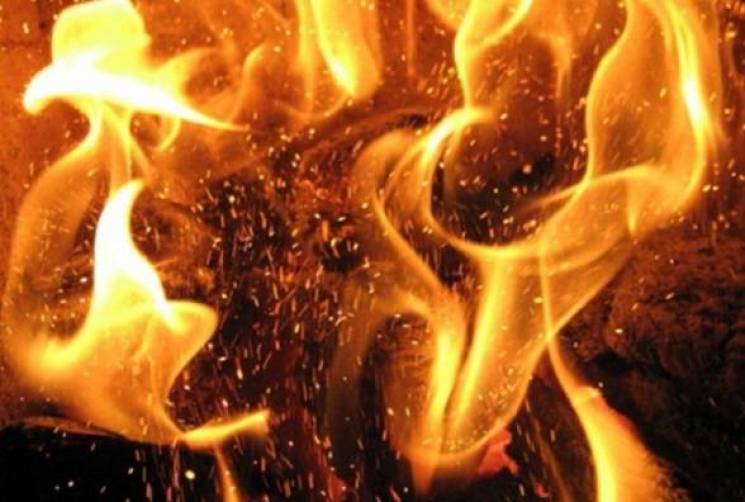 У селі на Вінниччині діти спалили шість…