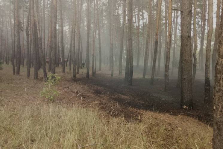 На Харьковщине дважды горел лес (ФОТО)…