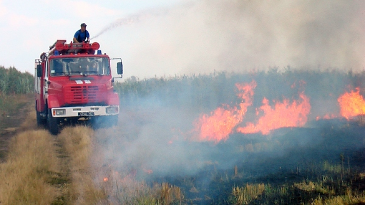На Тернопільщині вигоріло три гектари по…