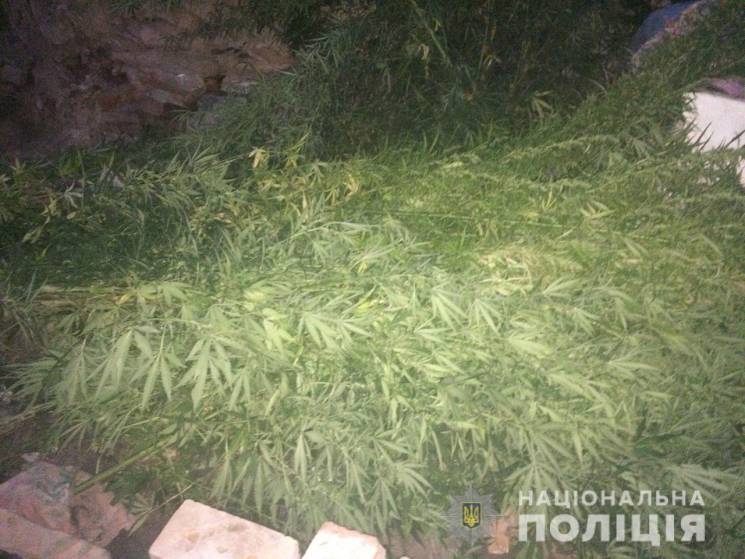 На Харківщині поліція знайшла запаси кон…