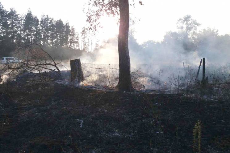 На Полтавщині вирують масштабні пожежі…