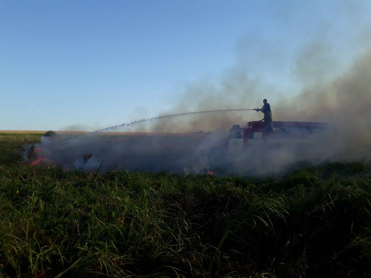 Спекотна пора: На Полтавщині пожежа випа…
