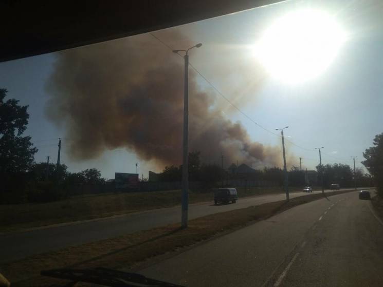 На Миколаївщині спалахнув лісовий масив:…