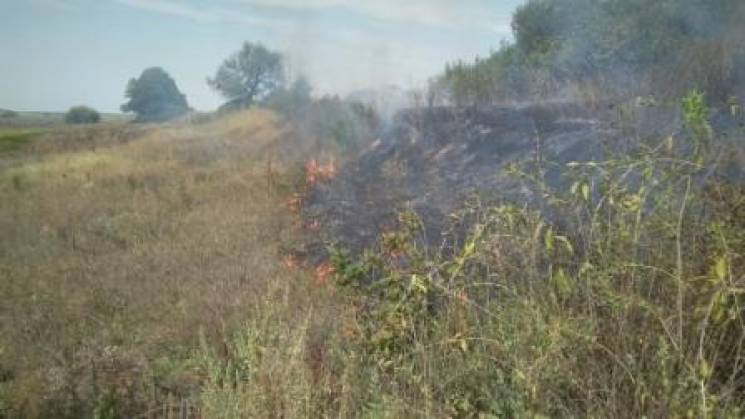 На Полтавщині тривають масштабні пожежі:…