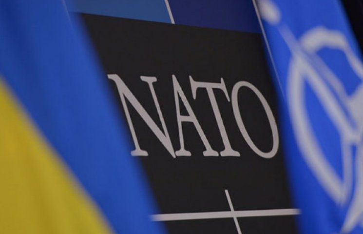НАТО готовится кардинально усилить сотру…