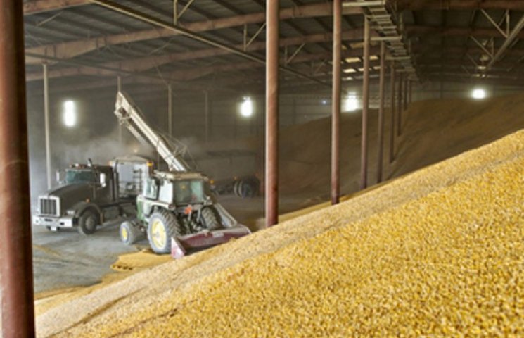 UKRLANDFARMING почав експортувати кукуру…