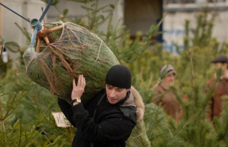 В Украине на праздники срежут почти 600…