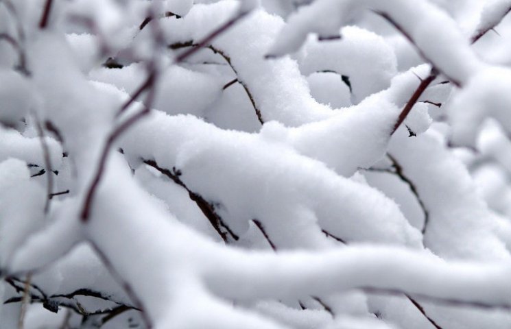 У Вінниці сьогодні буде сніг…
