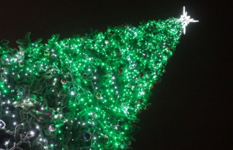 В Кировограде открыли новогоднюю елку…