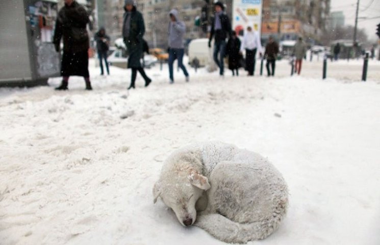 Якою буде погода у п’ятницю…