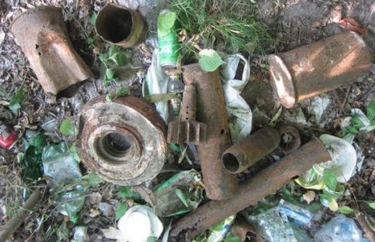 На Полтавщині у лісосмузі знайшли 17 боє…