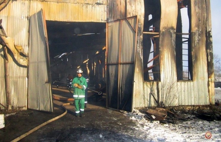 П'ять годин пожежники Тернопільщини ряту…