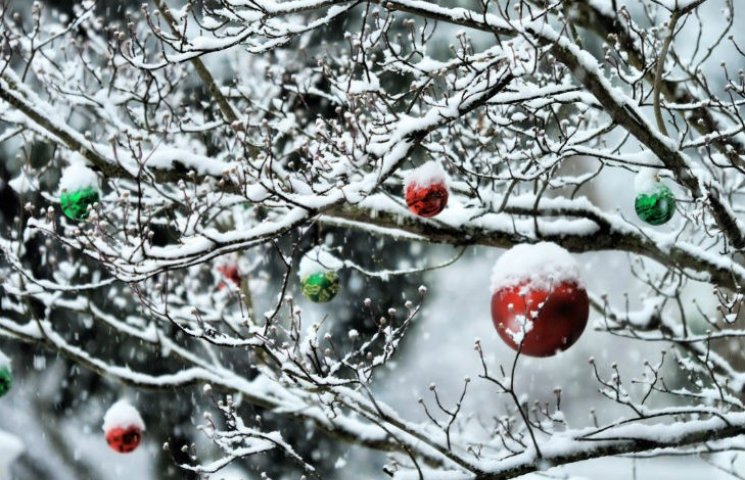 Київ під Новий рік засипле снігом, а в н…