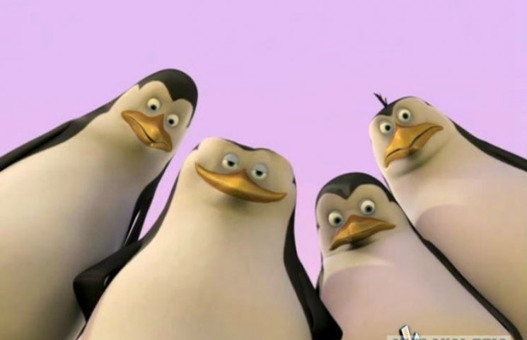 Вчені: Пінгвіни воліють пожирати сексуал…