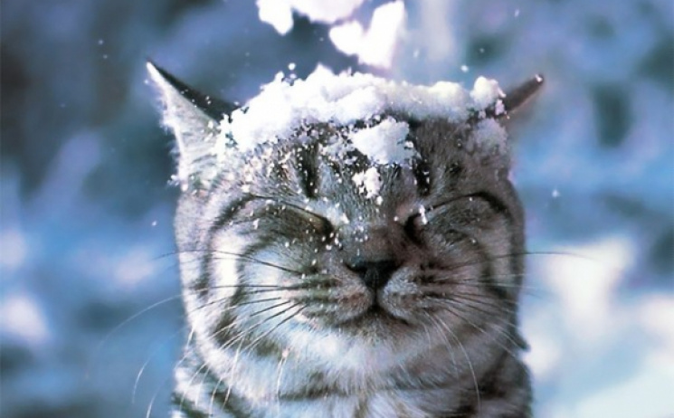Вінничанам знову обіцяють сніг…