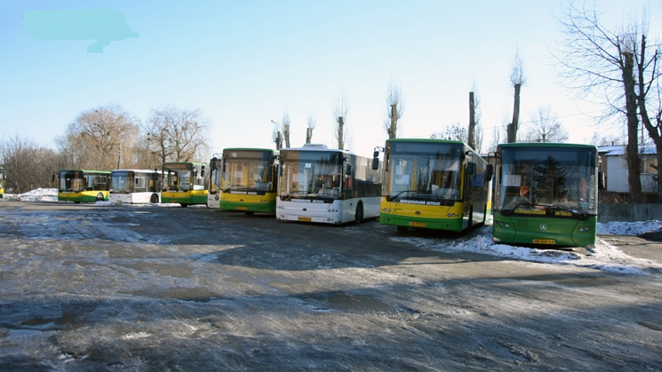 Автобуси Садового не влазять у львівські…