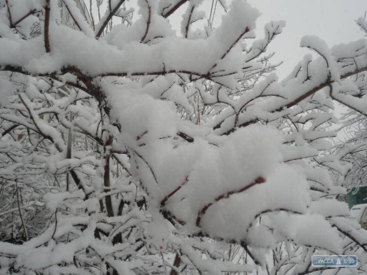 В Одесской области выпал первый снег…